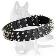 German Shepherd Spiked Leather Collar 21'' /21 inch dog collar-S44