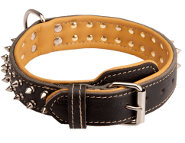 German Shepherd Leather Collar with Shiny Spikes