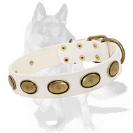 Stunning German Shepherd White Leather Collar Decorated with Studs  Stunning German Shepherd White Leather Collar Decorated with Studs