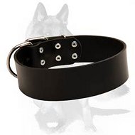 2 inch wide All Weather Leather Collar for German Shepherd