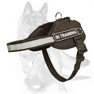 ‘Lord Phoenix’ Security/Patrol Nylon German Shepherd Harness for Tracking, Patrol, Working  ‘Lord Phoenix’ Security/Patrol Nylon German Shepherd Harness for Tracking, Patrol, Working
