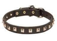 Studded Leather Collar for German Shepherd