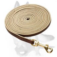 Walking, Tracking Leather Dog Lead with Sturdy Brass Snap-hook