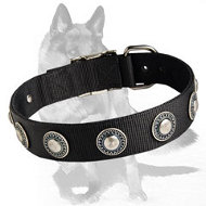 Nylon Dog Collar with Silver Conchos for Comfortable all-weather walks and training