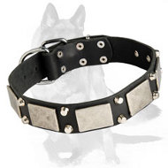Leather Dog Collar with massive silver plates and studs