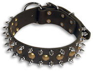 Spiked Black collar 24'' for Alsatian Dog/24 inch dog collar-S55