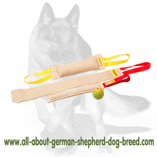 https://www.all-about-german-shepherd-dog-breed.com/images/German-shepherd-dog-equipment/Strong-bite-tugs-for-puppy-training-big.jpg