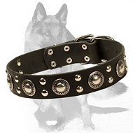 German Shepherd Chic Studded Leather Dog Collar
