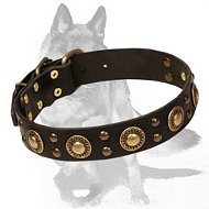 German Shepherd Brass Decorated Leather Dog Collar