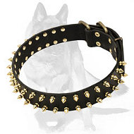 German Shepherd Luxurious Spiked Leather Collar