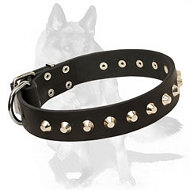 German Shepherd Leather Dog Collar with Nickel Plated Pyramids