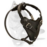 LEATHER AGITATION HARNESS for German ShepherdS