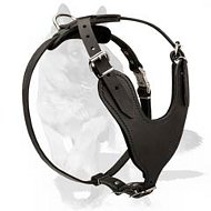 Heavy Duty Dog Harness for German Shepherd