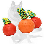 German Shepherd Solid Rubber Dog Training Water Ball 2 1/3 inch (6 cm)