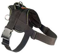Looking for EzyDog Harness for German Shepherd