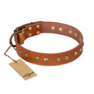 'Spring Flavor' FDT Artisan German Shepherd Tan Leather Dog Collar with Old Bronze-Like Plated Studs 1 1/2 inch (40 mm) wide