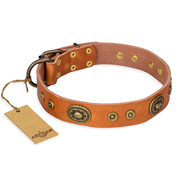 'Dandy Pet' FDT Artisan GSD Tan Leather Dog Collar