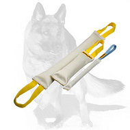 German Shepherd Fire Hose Bite Tugs - Training Set