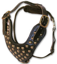 Two-Ply Latigo Dog Harness with Studs for German Shepherd
