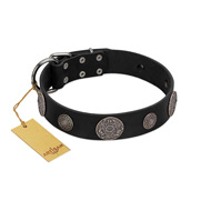 "Ad Infinitum" Durable FDT Artisan Black Leather German Shepherd Collar with Chrome Plated Brooches