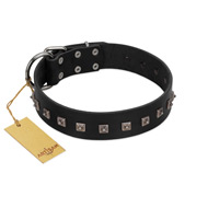 "Natural Beauty" Premium Quality FDT Artisan Black Designer German Shepherd Collar with Dotted Studs