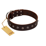 "Graceful Classic" Mod FDT Artisan Brown Leather German Shepherd Collar