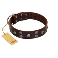 "Skull Valley" Handcrafted FDT Artisan Brown Leather German Shepherd Collar with Skulls