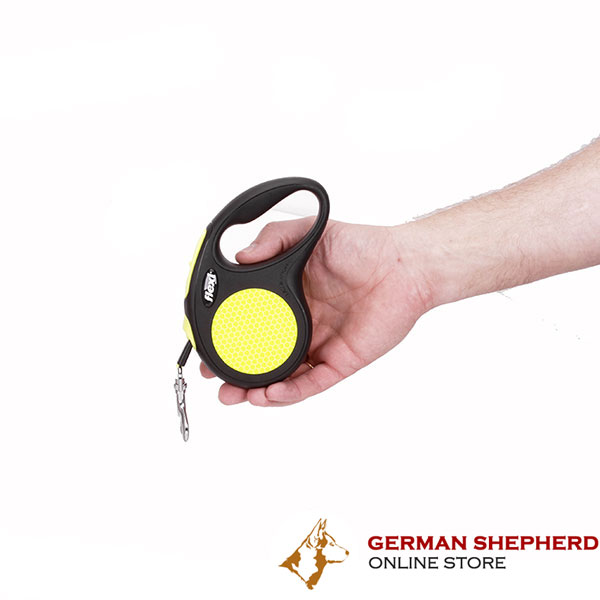 Small Size Retractable Dog Lead for Everyday Use