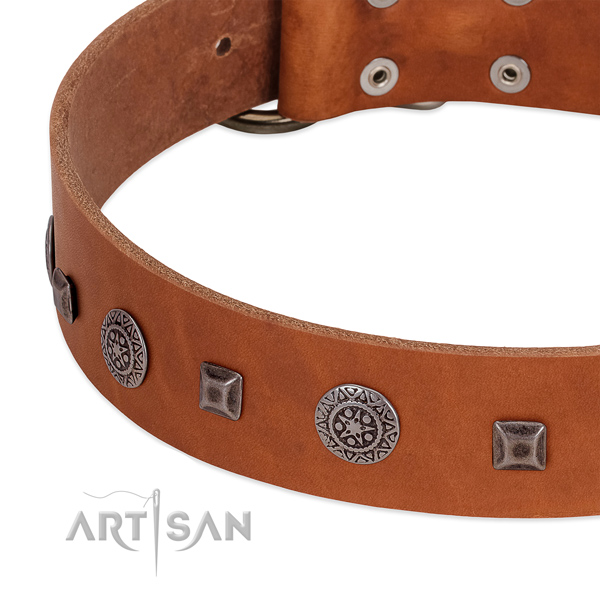 Impressive full grain natural leather collar with decorations for your dog