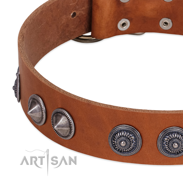Handmade full grain leather dog collar with reliable traditional buckle
