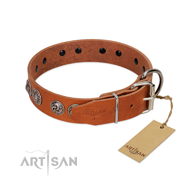 Exquisite full grain leather collar for your pet stylish walking