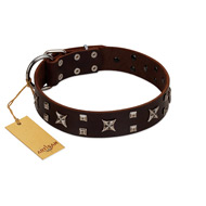 "Bigwig Woof" FDT Artisan Brown Leather German Shepherd Collar with Chrome Plated Stars and Square Studs
