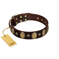 "Bronze Idol" FDT Artisan Brown Leather German Shepherd Collar with Eye-catching Ovals and Small Studs