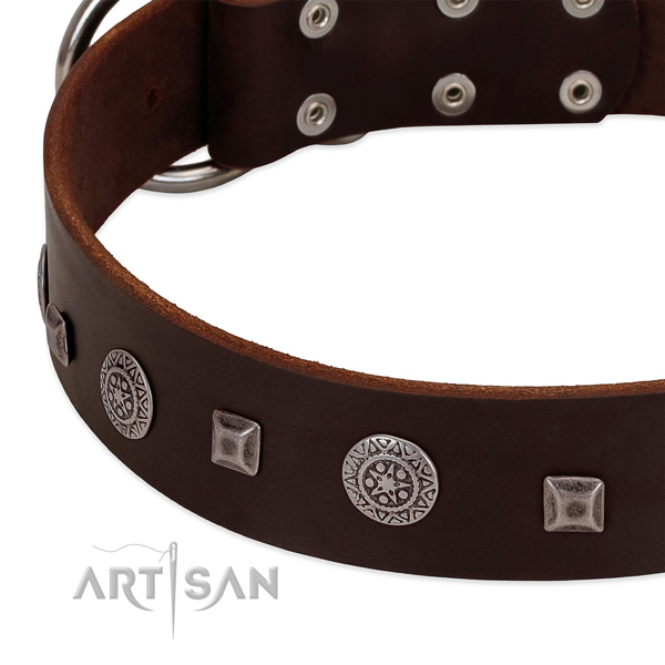High quality leather dog collar with unusual decorations