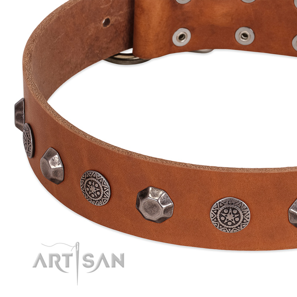 Impressive full grain leather collar for your canine stylish walking