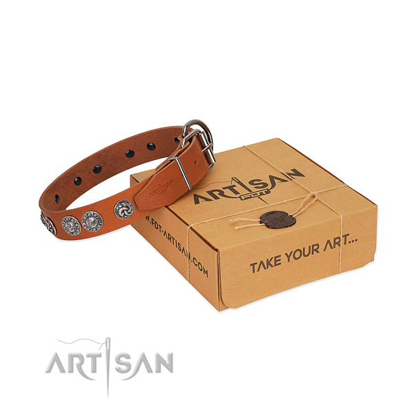 Amazing full grain leather collar for your canine daily walking