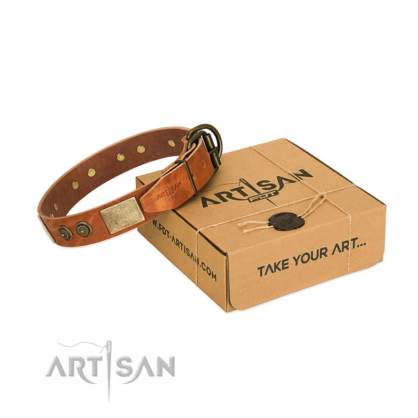 Reliable buckle on full grain genuine leather dog collar for everyday walking