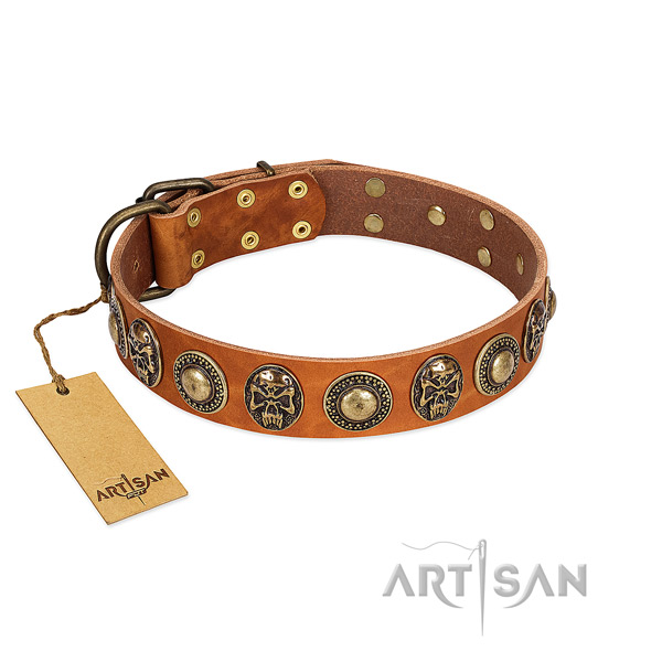 Easy to adjust full grain leather dog collar for everyday walking your doggie
