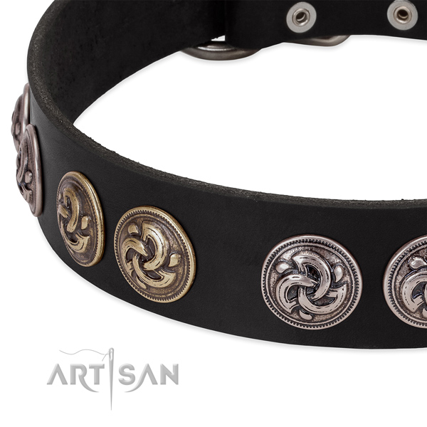 Stunning full grain genuine leather collar for your canine stylish walks