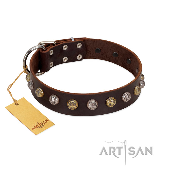 Strong fittings on full grain natural leather dog collar for stylish walking your pet