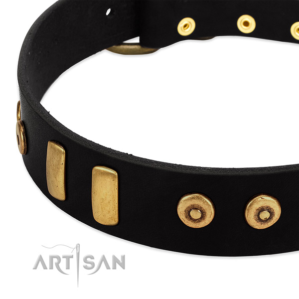 Gentle to touch natural leather collar with designer studs for your dog