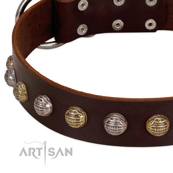 Full grain leather dog collar with durable hardware and embellishments