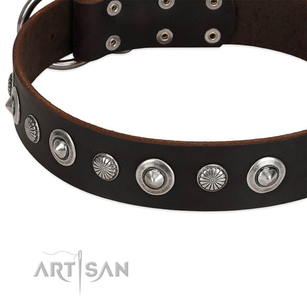 Exceptional studded dog collar of top notch leather