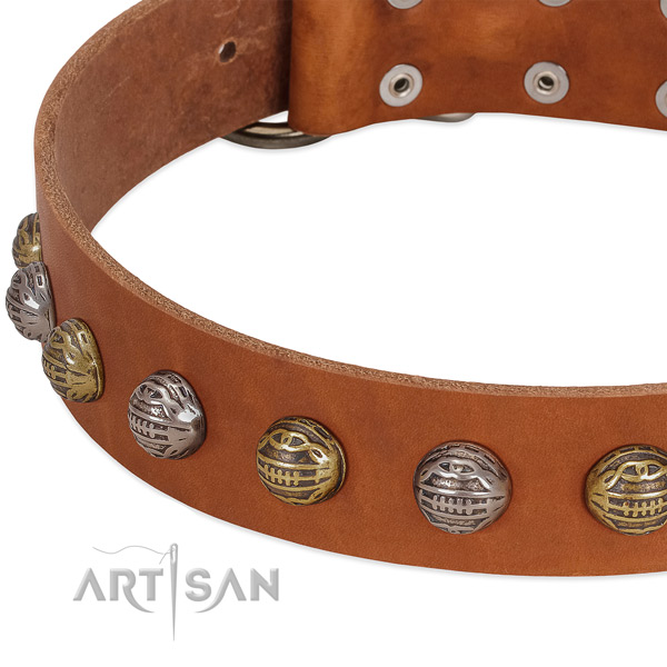 Rust-proof D-ring on leather collar for stylish walking your dog