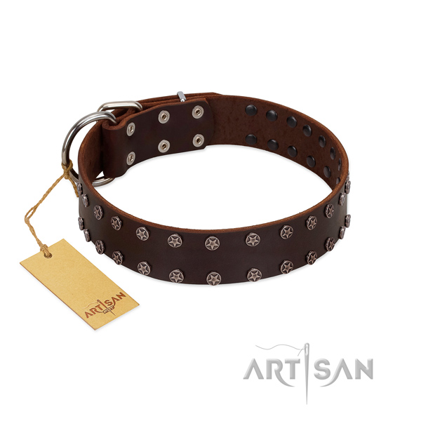 Walking leather dog collar with exceptional embellishments