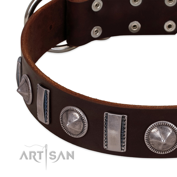 Unusual embellished full grain natural leather dog collar for fancy walking