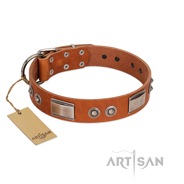 Incredible leather collar with decorations for your canine