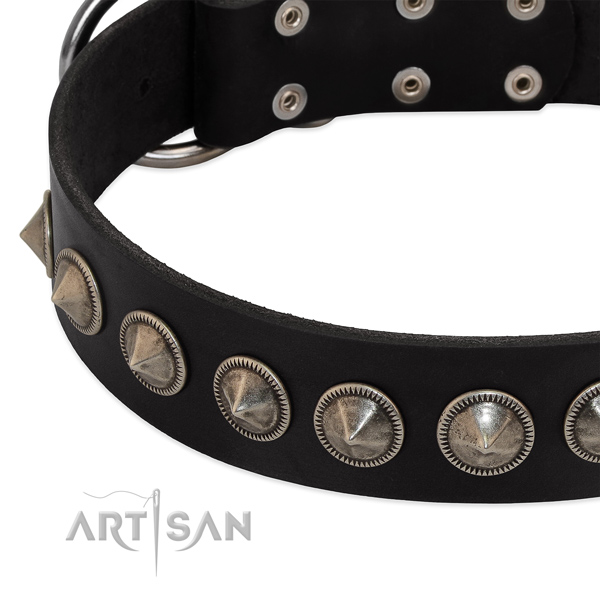 Everyday walking studded full grain leather collar for your canine