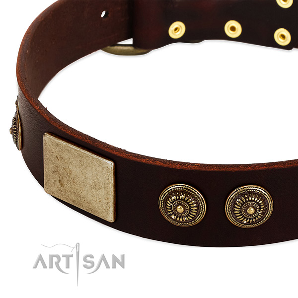 Rust-proof embellishments on genuine leather dog collar for your dog
