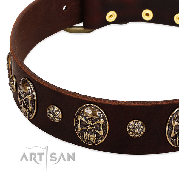 Strong adornments on full grain genuine leather dog collar for your doggie